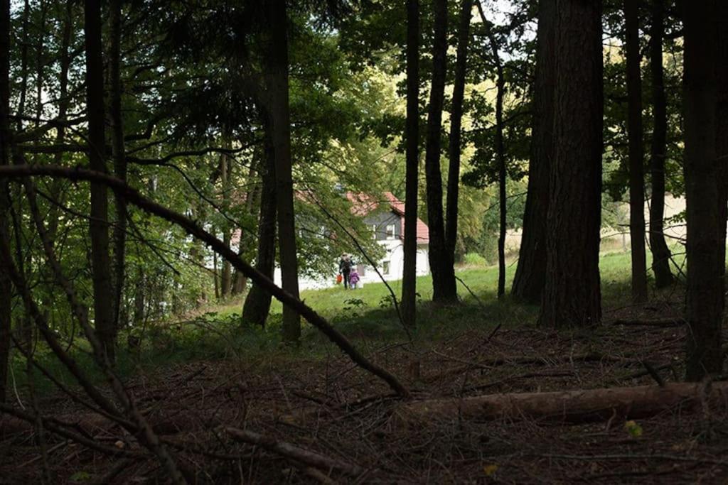 Wald-Apartment Limabach - Oberfrohna Buitenkant foto