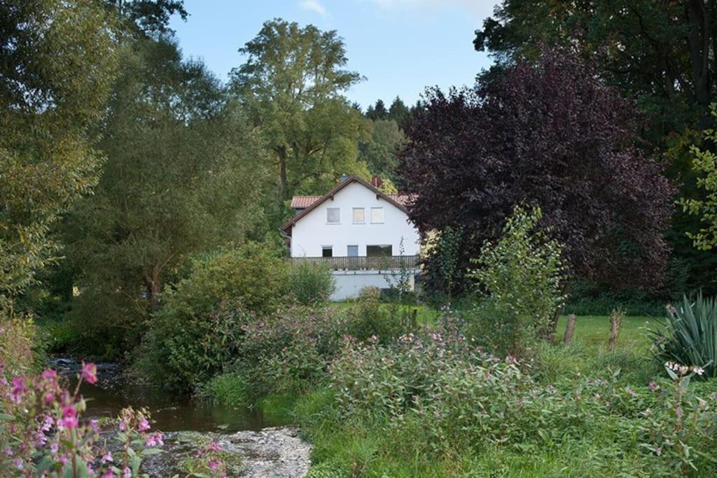 Wald-Apartment Limabach - Oberfrohna Buitenkant foto