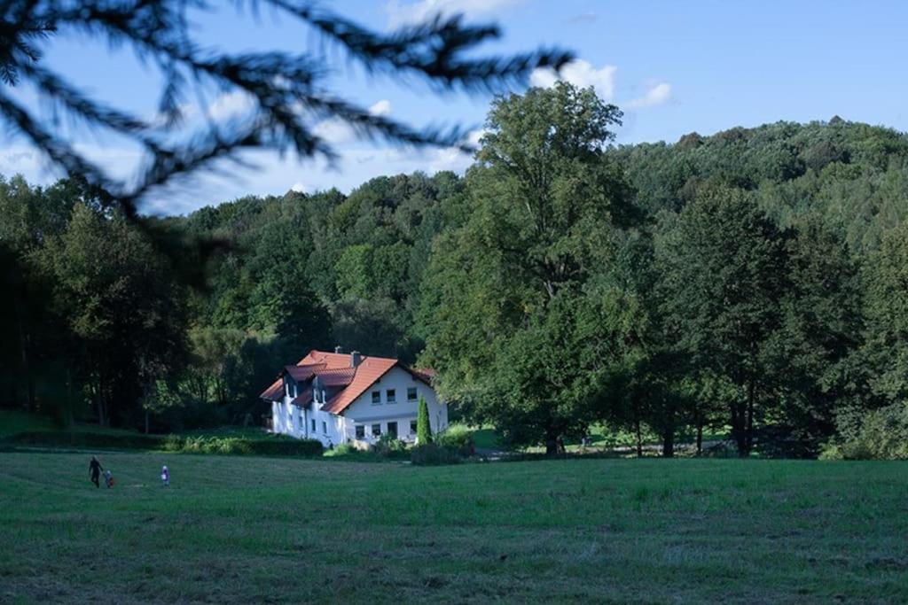 Wald-Apartment Limabach - Oberfrohna Buitenkant foto