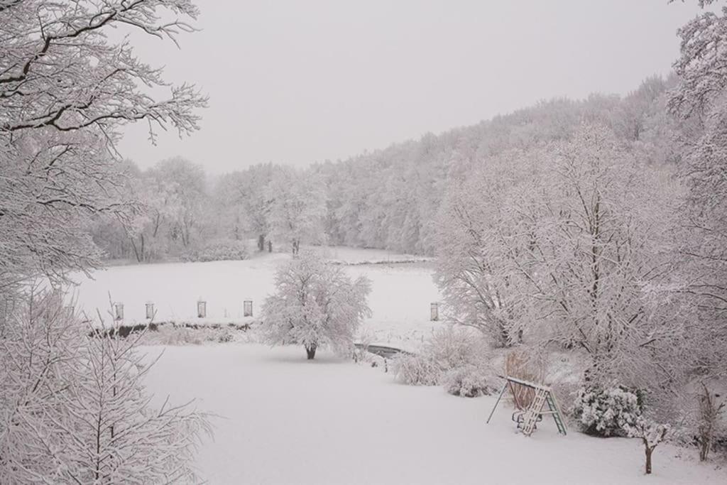 Wald-Apartment Limabach - Oberfrohna Buitenkant foto