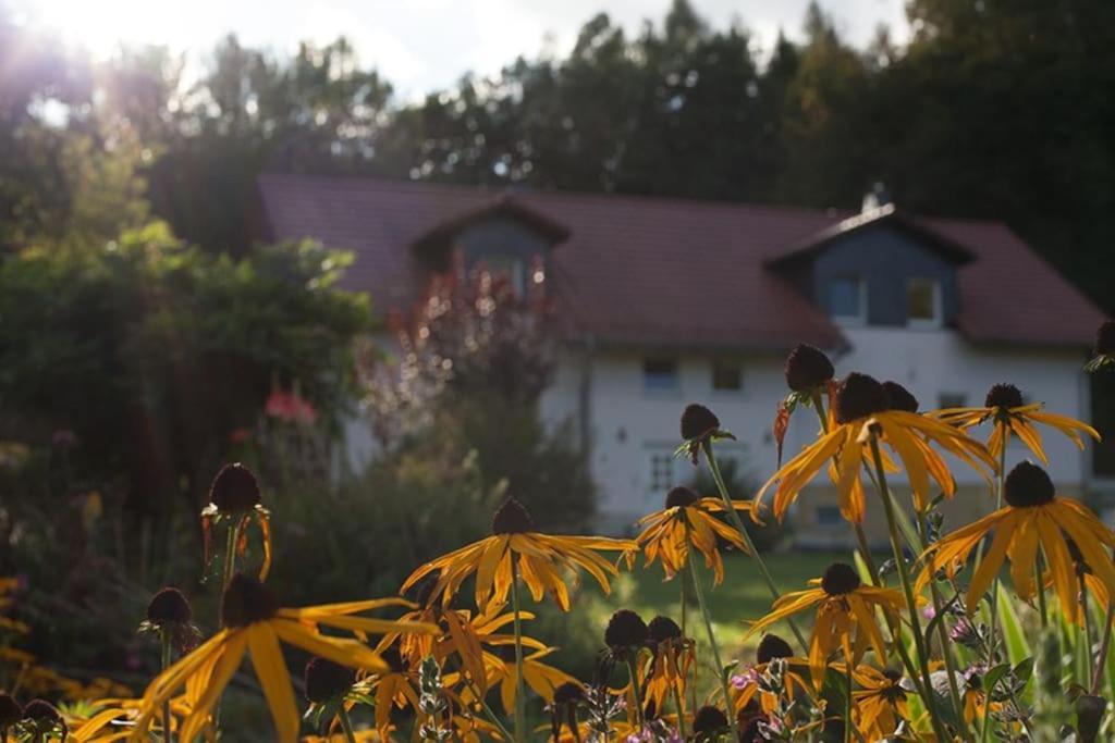Wald-Apartment Limabach - Oberfrohna Buitenkant foto