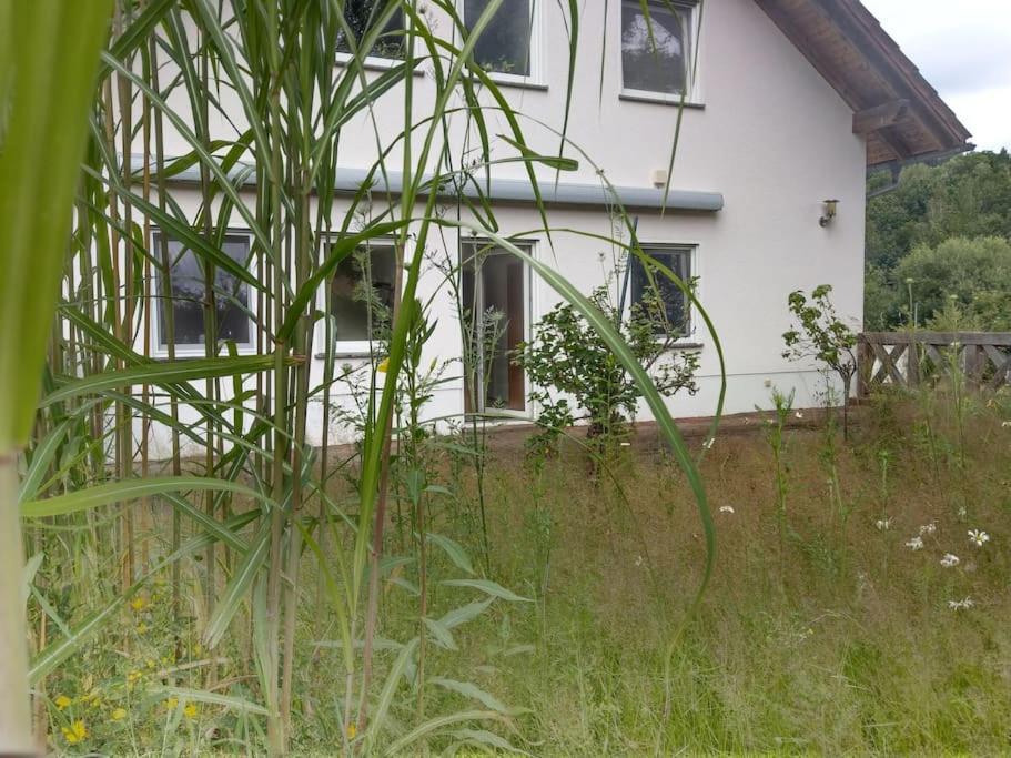 Wald-Apartment Limabach - Oberfrohna Buitenkant foto