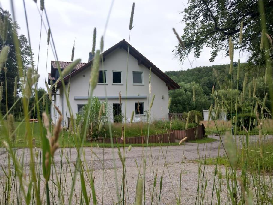 Wald-Apartment Limabach - Oberfrohna Buitenkant foto