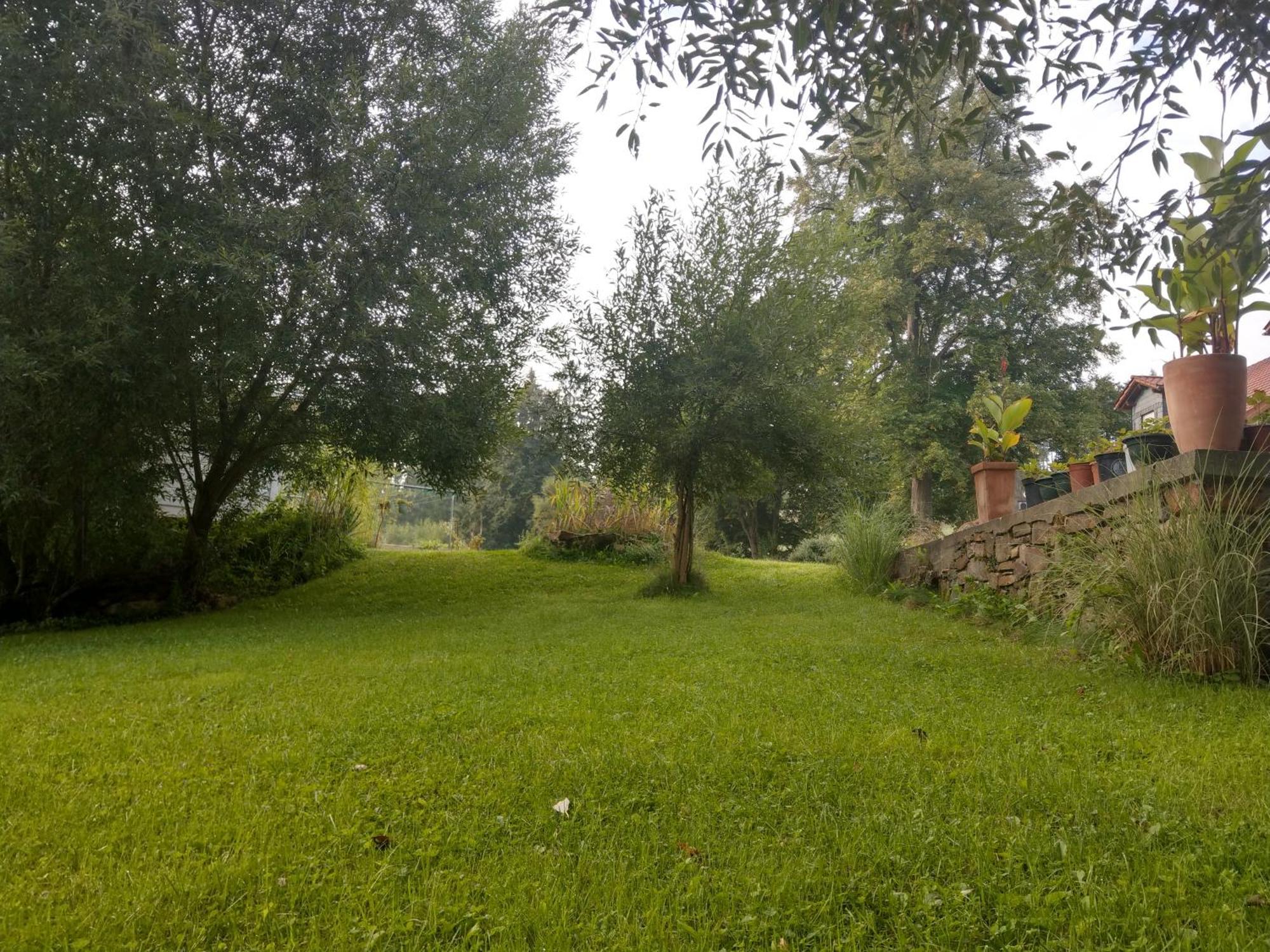 Wald-Apartment Limabach - Oberfrohna Buitenkant foto